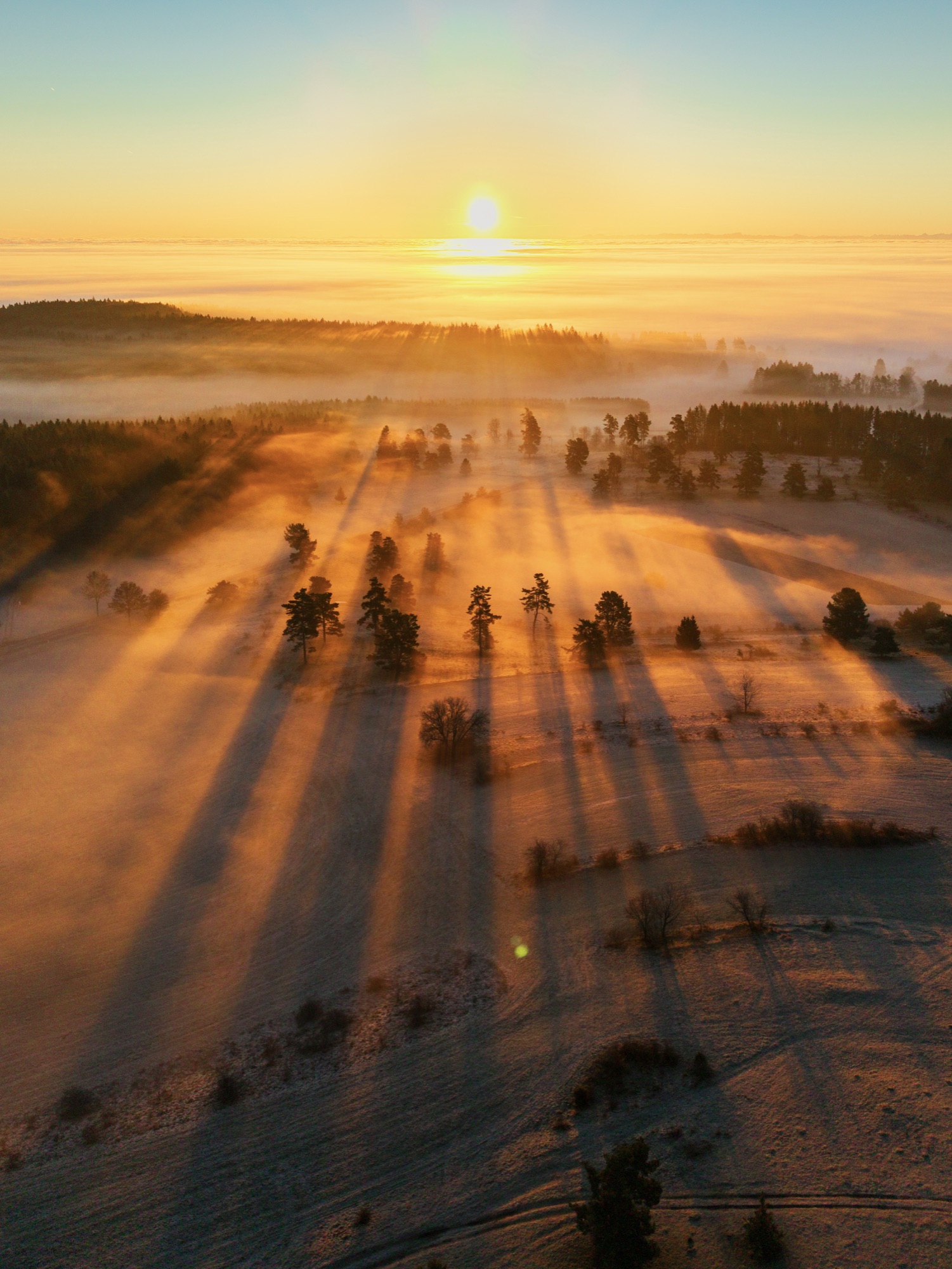 Lange Baumschatten im winterlichen Nebel bei Sonnenaufgang