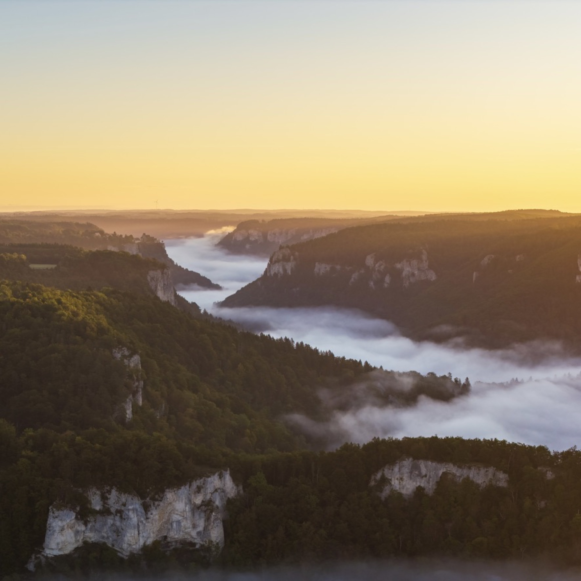 Nebelverhangenes Flusstal mit Felsklippen im Abendlicht